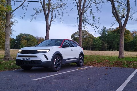 mokka ltt phoenix park